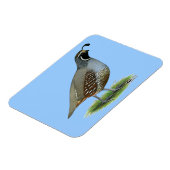 California Valley Magnet (Linke Seite)