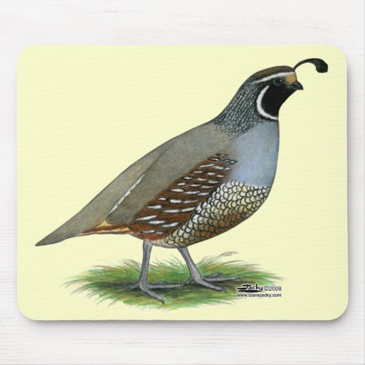 California Valley Mousepad (Vorne)