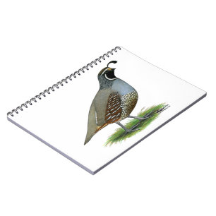 California Valley Notizblock