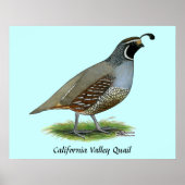 California Valley Poster (Vorne)