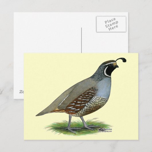 California Valley Postkarte (Vorne/Hinten)