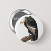 California Vulture (Condor), Audubon Fine Art Button (Vorne & Hinten)