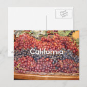 California Weinkeller Postcard Postkarte (Vorne/Hinten)
