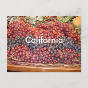 California Weinkeller Postcard Postkarte