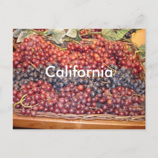 California Weinkeller Postcard Postkarte (Vorderseite)