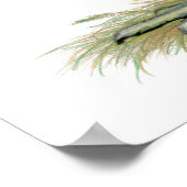 California White Hen Poster (Ecke)