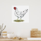 California White Hen Poster (Küche)