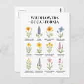 California Wildblumen - Botanische Aquarellfärbung Postkarte (Vorne/Hinten)