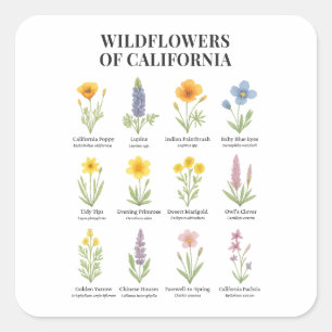 California Wildblumen - Botanische Aquarellfärbung Quadratischer Aufkleber