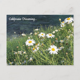 California Wildblumen, La Jolla Cove Postkarte