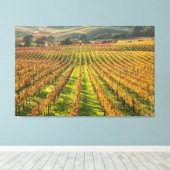 California Wine Country Leinwanddruck (Insitu (Holzboden))