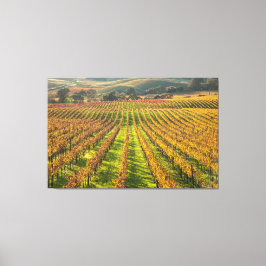 California Wine Country Leinwanddruck