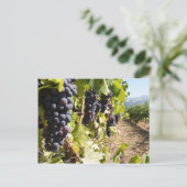California Wine Country Postkarte (Stehend Vorderseite)