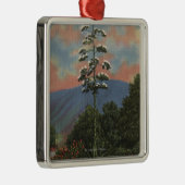 CaliforniaCentury Pflanze in der Blüte Silbernes Ornament (Rechts)