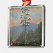 CaliforniaCentury Pflanze in der Blüte Silbernes Ornament (Links)