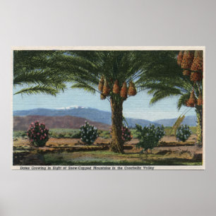 CaliforniaDates, das im Coachella wächst Poster