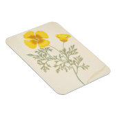 Californian Escholtzia Magnet (Rechte Seite)