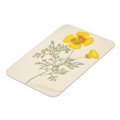 Californian Escholtzia Magnet (Linke Seite)