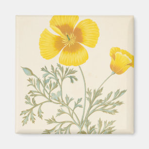 Californian Escholtzia Magnet