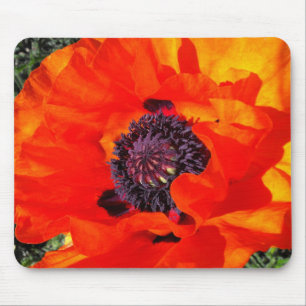 Californian Poppy Mousepad