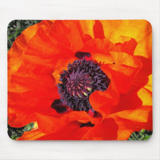 Californian Poppy Mousepad (Vorne)