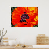 Californian Poppy Poster (Küche)