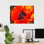 Californian Poppy Poster (Heimbüro)