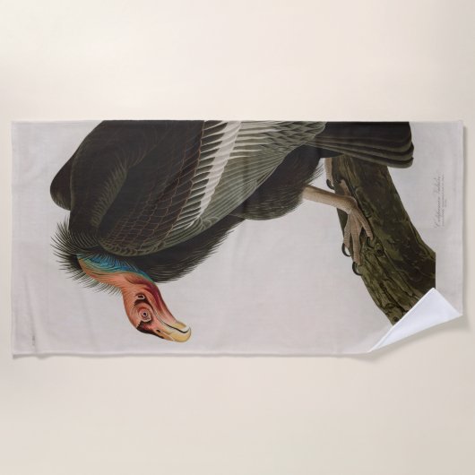Californian Vulture Birds of America Audubon Print Strandtuch (Vorderseite)