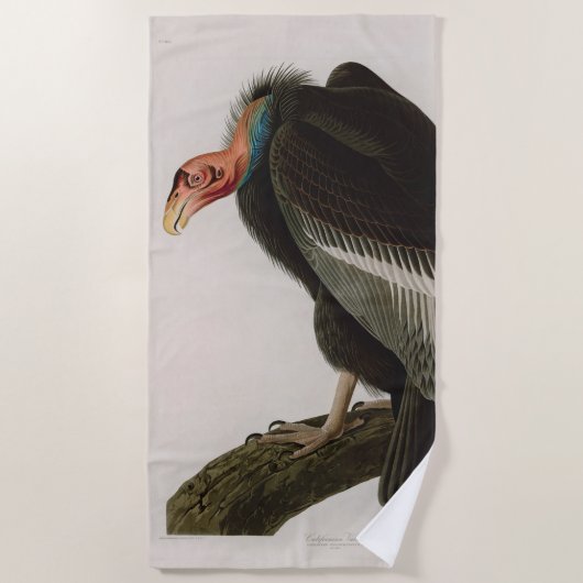 Californian Vulture Birds of America Audubon Print Strandtuch (Vorderseite)
