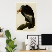 Californian Vulture Poster (Heimbüro)