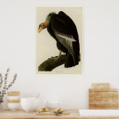 Californian Vulture Poster (Küche)