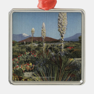CaliforniaYucca Kakteen in der Blüte in der Wüst Ornament Aus Metall