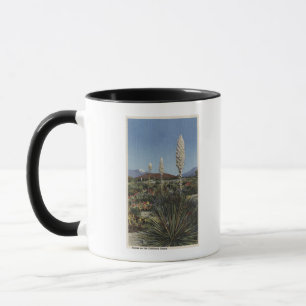 CaliforniaYucca Kakteen in der Blüte in der Wüste Tasse