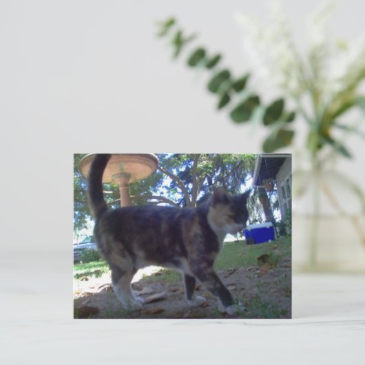 Caliope Postkarte (Stehend Vorderseite)