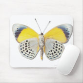 Calithea davisi mousepad (Mit Mouse)