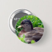 Call Duck Drake Button (Vorne & Hinten)