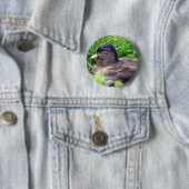 Call Duck Drake Button (Beispiel)