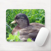 Call Duck Drake Mousepad (Mit Mouse)