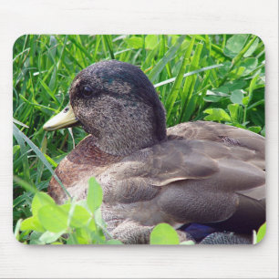 Call Duck Drake Mousepad