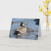 Call Enck Hen Playing in Flooded Field Karte (Gelbe Blume)