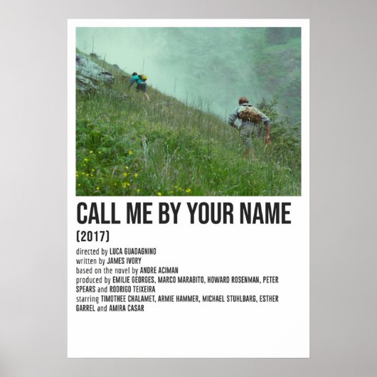 CALL ME BY YOUR NAME MOUNTAINS POSTER (Vorne)