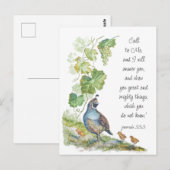 Call to Me Scripture Inspiration California Quail  Postkarte (Vorne/Hinten)