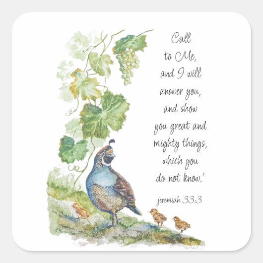 Call to Me Scripture Inspiration California Quail Quadratischer Aufkleber (Vorderseite)