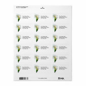 Calla Adressaufkleber (Vorne)