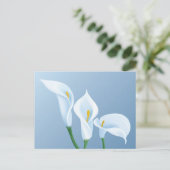Calla-Blume Postkarte (Stehend Vorderseite)