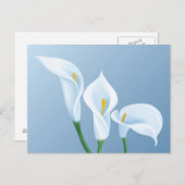 Calla-Blume Postkarte (Vorne/Hinten)
