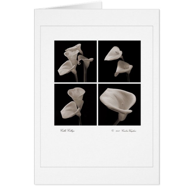 Calla_flowers_2010_Brochure (Vorne)