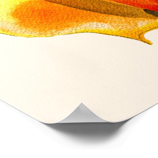 Calla liblütig Aquarellblüte Poster (Ecke)