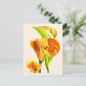 Calla liblütig Aquarellblüte Postkarte (Stehend Vorderseite)