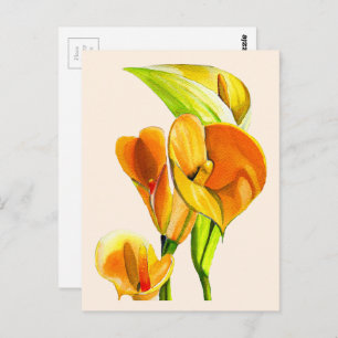Calla liblütig Aquarellblüte Postkarte